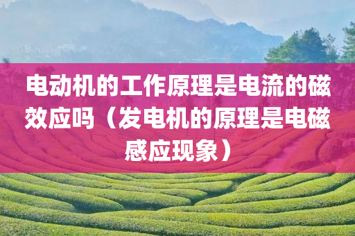 电动机的工作原理是电流的磁效应吗（发电机的原理是电磁感应现象）