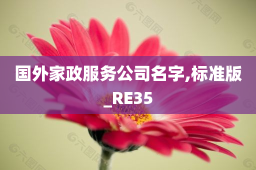 国外家政服务公司名字,标准版_RE35