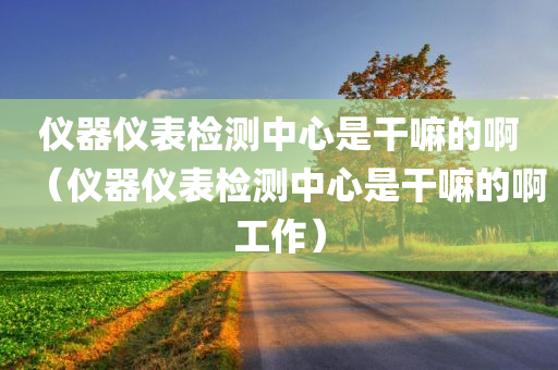 仪器仪表检测中心是干嘛的啊（仪器仪表检测中心是干嘛的啊工作）